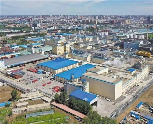 小玉米有大追求|嘉吉|松原|吉林|聯合國世界糧食計劃署|玉米